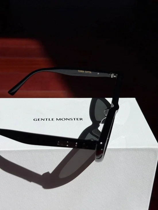 Gentle Monster Black Terra Cotta Sunglasses - Picture 6 of 10